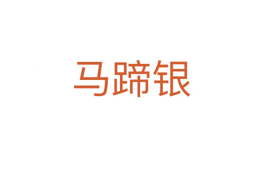 马蹄银