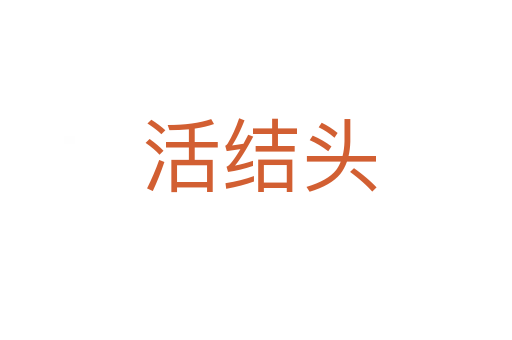 活结头