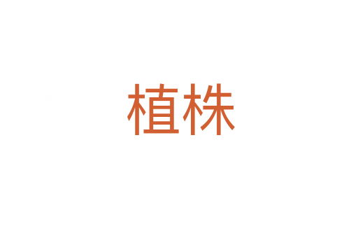 植株