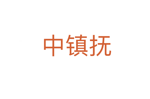 中镇抚