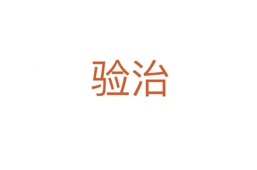 验治