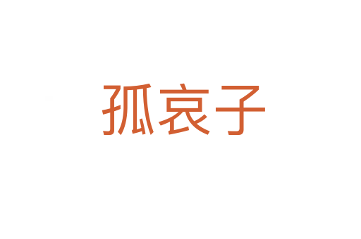 孤哀子