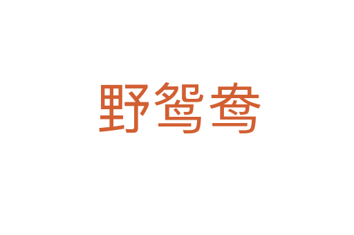 野鸳鸯