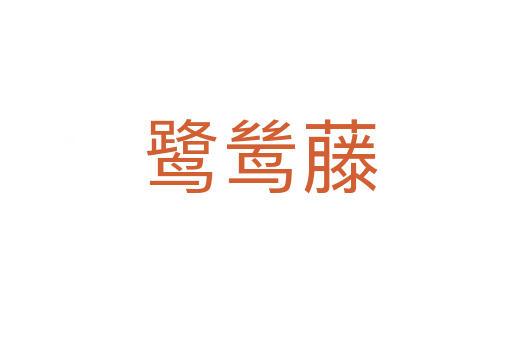 鹭鸶藤