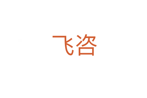 飞咨
