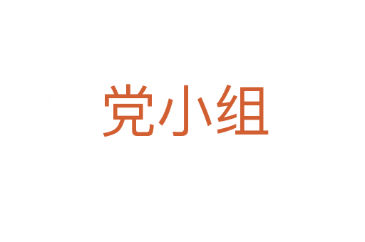 党小组