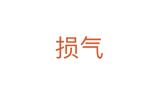 损气