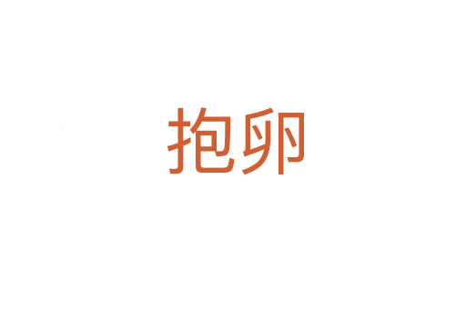 抱卵