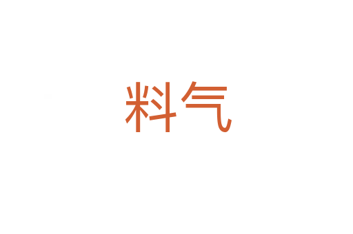 料气