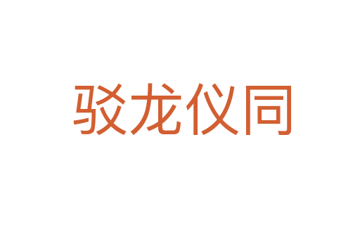 驳龙仪同