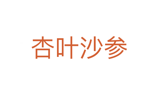 杏叶沙参