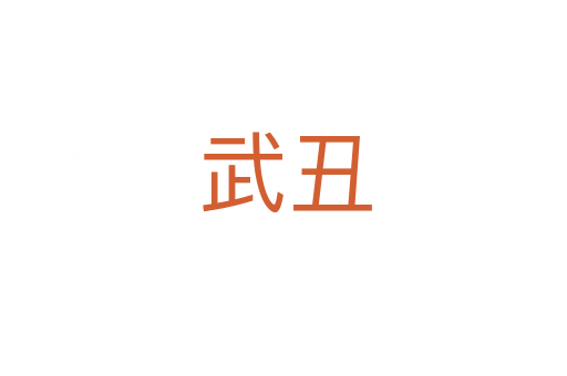 武丑