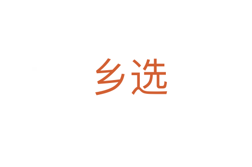乡选