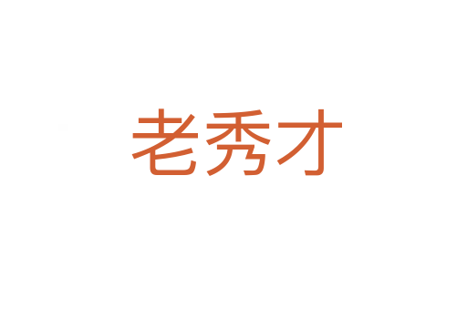 老秀才