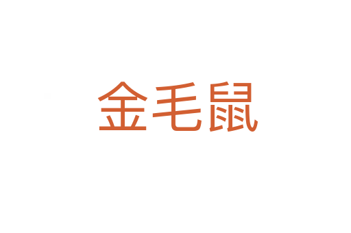 金毛鼠