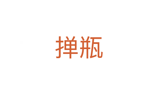 掸瓶