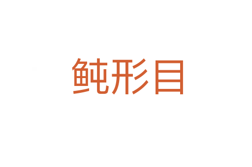 鲀形目
