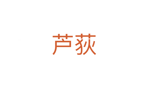 芦荻