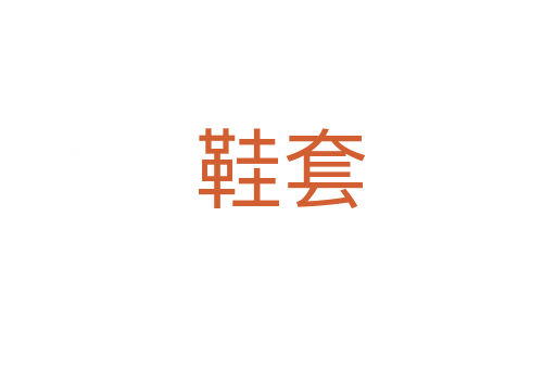 鞋套