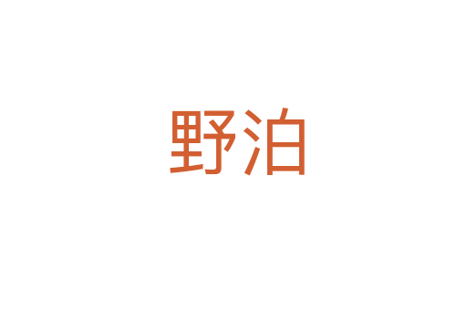 野泊