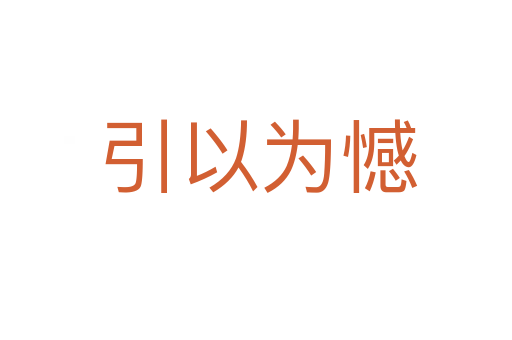 引以为憾