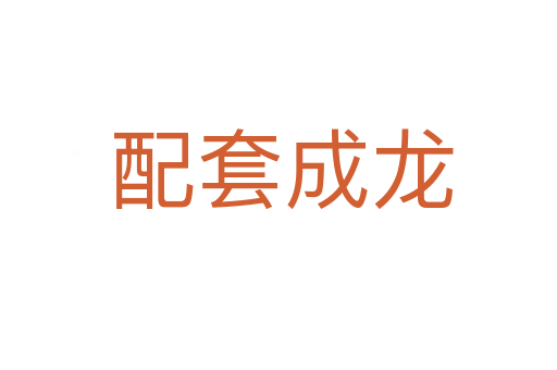 配套成龙
