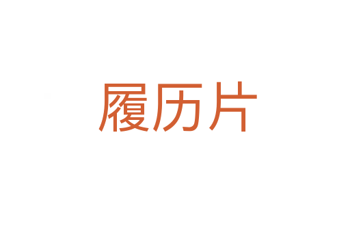 履历片