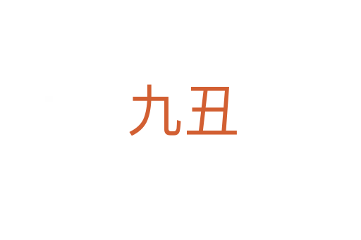 九丑