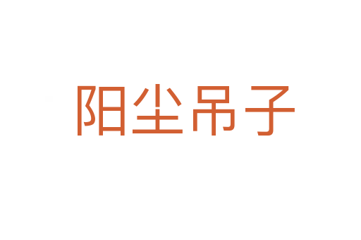 阳尘吊子