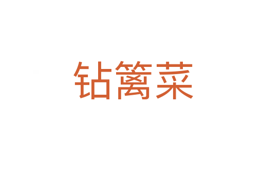 钻篱菜