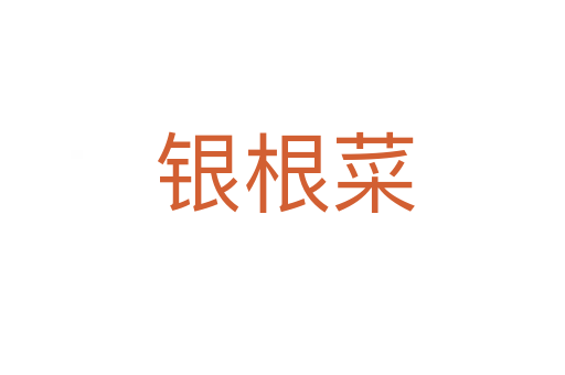 银根菜