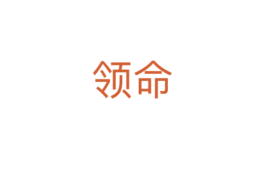 领命