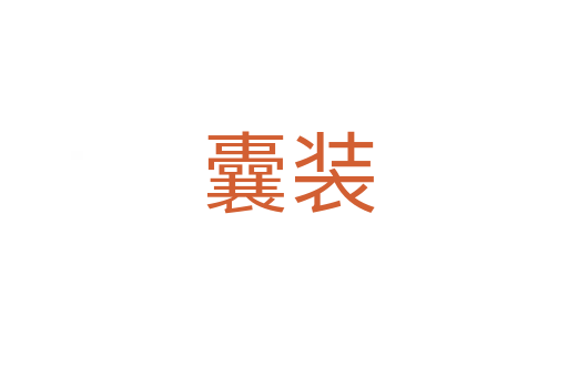 囊装