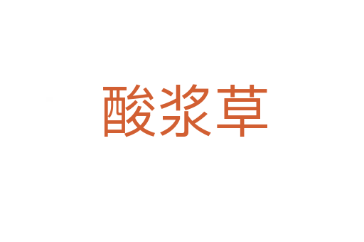 酸浆草