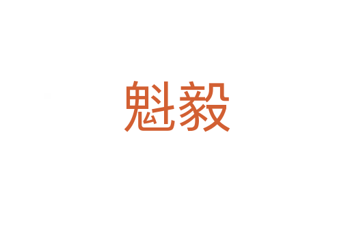 魁毅