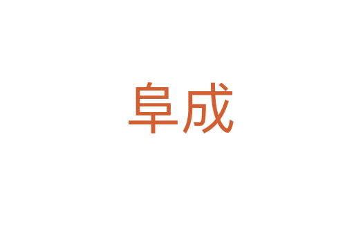 阜成