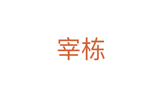 宰栋