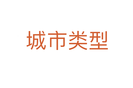 城市类型
