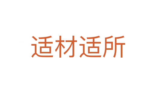 适材适所