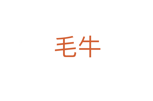 毛牛