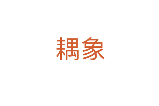 耦象
