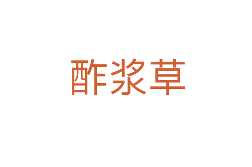 酢浆草