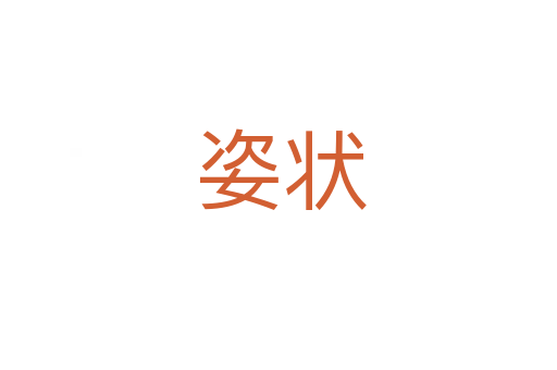 姿状
