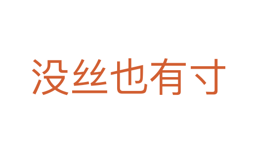 没丝也有寸