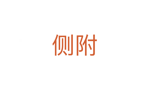 侧附