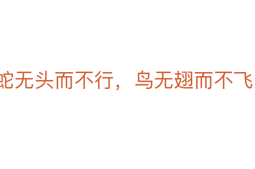 蛇无头而不行，鸟无翅而不飞
