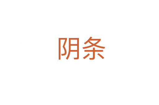 阴条