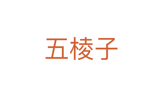 五棱子