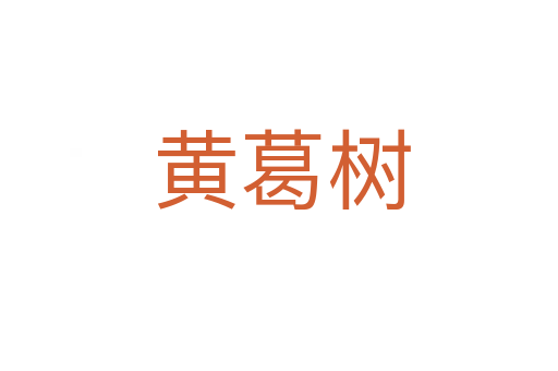 黄葛树