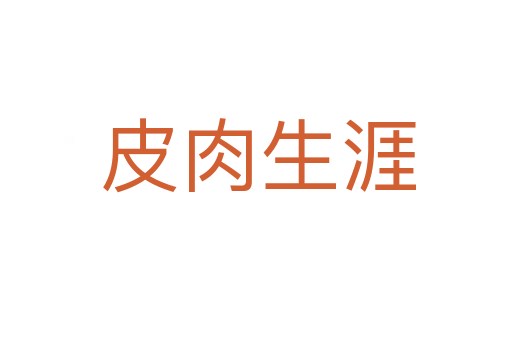 皮肉生涯